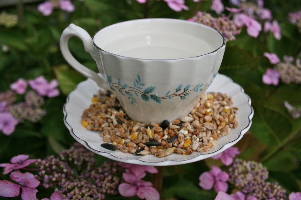 how to make your own upcycled teacup bird feeder
