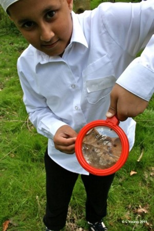 boy-with-magnifying-glass